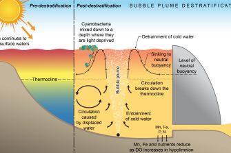 Cold water pollution - bubble plume destratification, illustration by Anna Blacka