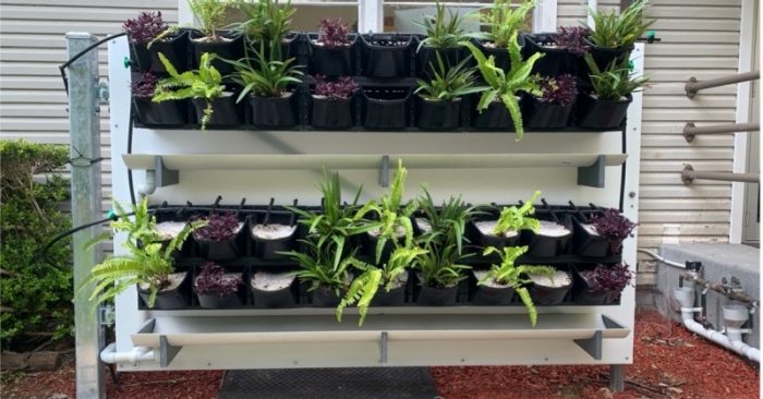Unsw Wrl Nature Based Solutions: the green wall at WRL is up and running!