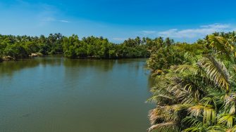 View at lagoon near Negombo, Sri Lanka