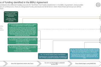 figure showing BBNJ funding sources