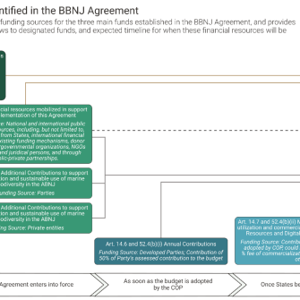 figure showing BBNJ funding sources