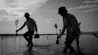 Trapeang Sangkae Fishing Community Members help the group of people from Sathapana Bank team to replant the mangrove trees  on 24th June 2023. Kampot, Cambodia