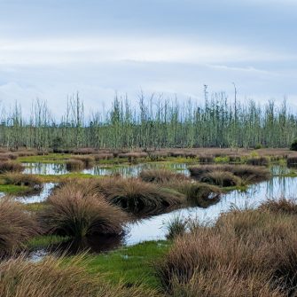 Learn more about Connected Waters