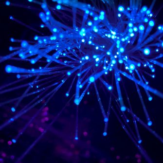 Purple and blue light digital wallpaper