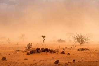 Dusty Sandstorm in African Desert