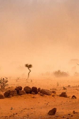 Dusty Sandstorm in African Desert