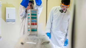 Students studying Biomedicine in labs