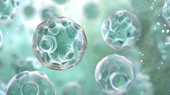 D Visualization of Genetically Modified Cells Producing Chimeric Antigen Receptor for CAR T-cell Therapy. Concept Biomedical Imaging, Genetic Engineering, Cancer Immunotherapy, Cell Biology