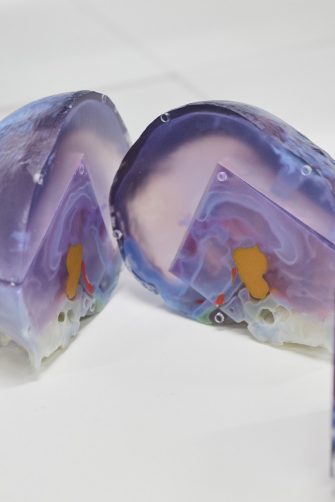 3D printed brain photography