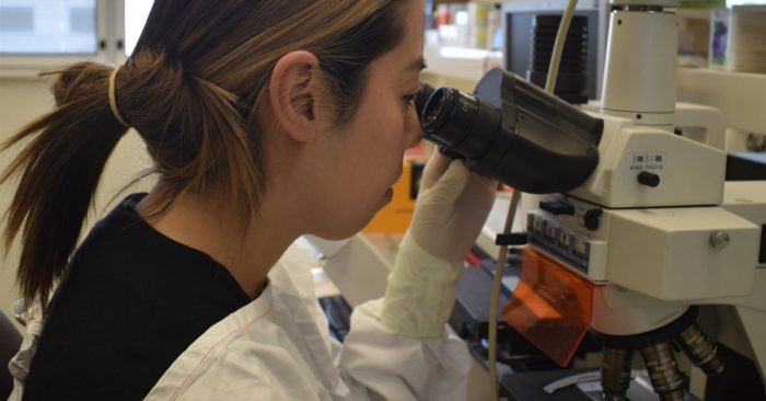 Unsw Rts Lab Our research | UNSW Virology Research Lab