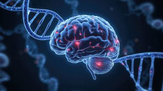 3D conceptual visualization of hereditary brain conditions caused by DNA mutations�