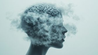 an-abstract-representation-of-brain-fog-depicting-a-human-head-silhouette-with-a-clouded-or-obscured-brain-symbolizing-difficulty-in-thinking-concentration-and-mental-clarity ,realistic photography, --ar 16:9 --quality 2 --profile nywg51e --stylize 250 --v 6.1 Job ID: 57ca5c23-2254-46dd-9167-de99d58b2d85