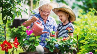 Gardening with a kids. Grandmother and her grandchild enjoying in the garden with flowers. Hobbies and leisure, lifestyle, family life