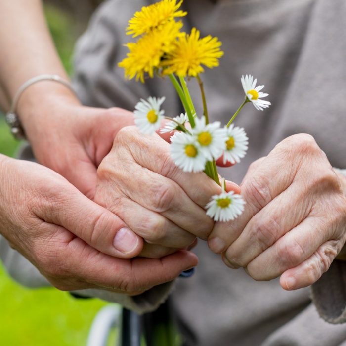 Close up picture of elderly woman with dementia holding flower bouquet given by caretaker - hands