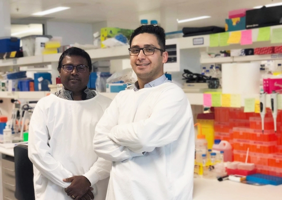 The tissue regeneration lab that brings together biology and engineering. Pictured: Dr Vashe Chandrakanthan and PhD candidate Hossein Tavassoli. Image: Supplied