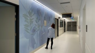 A/Prof Emma Robertson and her work in the Prince of Wales Acute Services Building