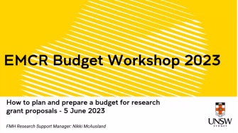 CVMM EMCR Budget Workshop 2023