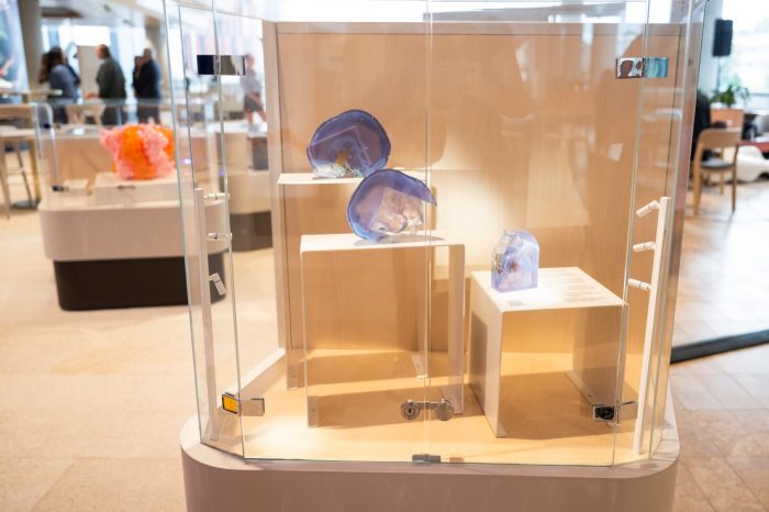Displaying the 3d print of a brain