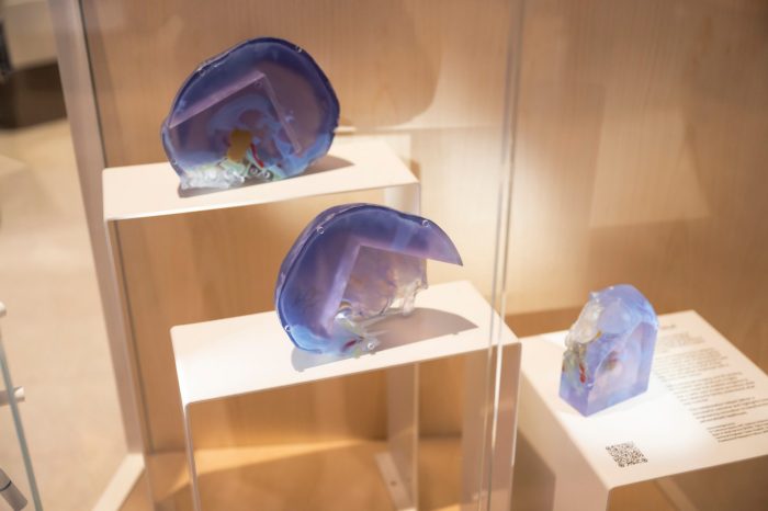 displaying 3d of a brain