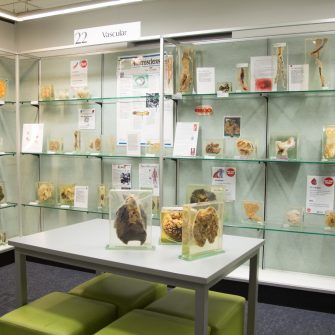 Specimens from the Museum of Human Disease