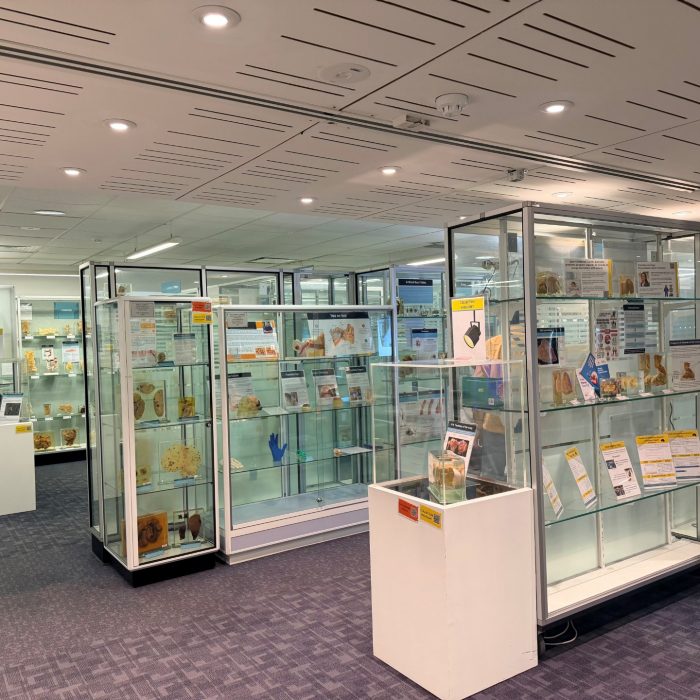 Main area of Museum