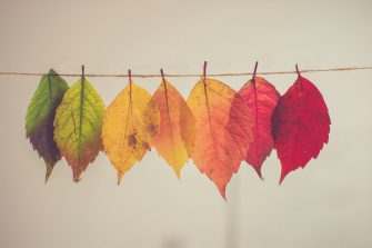 Coloured leaves hanging on a line
