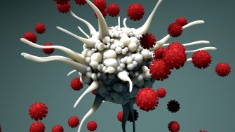 Dendritic cells protecting the host from viral infection