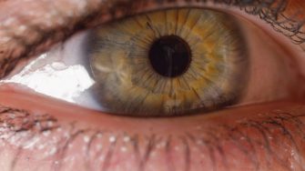 CLOSE UP: Pretty green eye frantically looking around bright room. Woman wearing mascara opens eye to continue reading. Iris moving from side to side and pupil contracting and expanding.