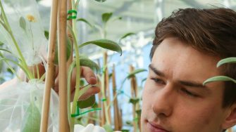 student looking at plants in greenhouse