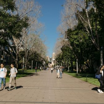 Multiple groups of students walking on wide pathway with trees lining either side