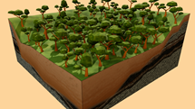 CGI of Thick Vegetation
