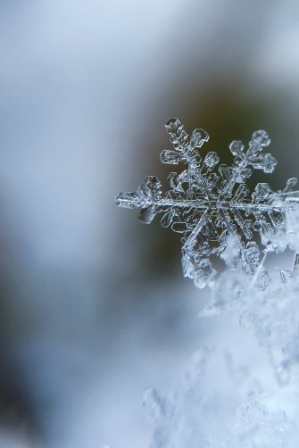 Snowflake macro