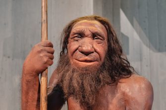 An artist's impression of a Neanderthal human