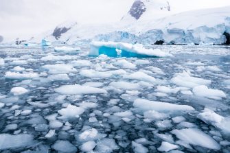 Ice floating the arctic