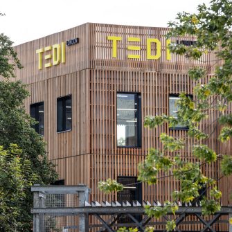 TEDI-London