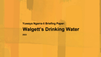 Walgett's drinking water briefing paper