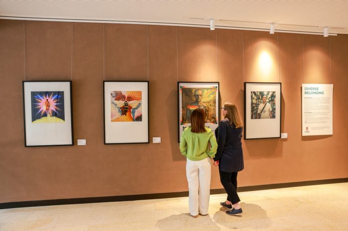 Diverse Belonging, installation view 1