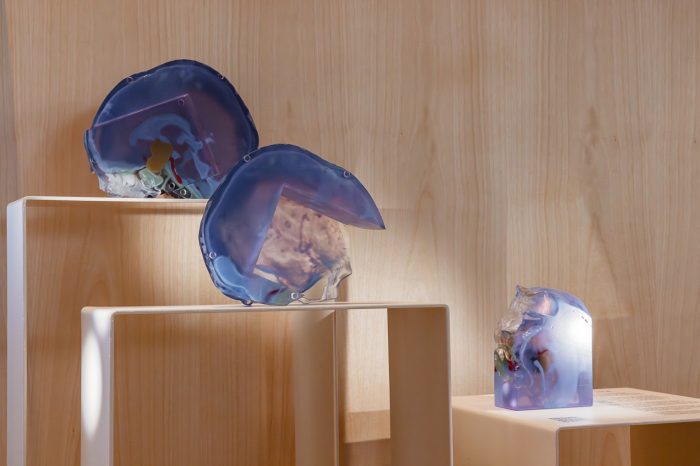 UNSW Future of Health Exhibition