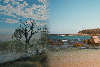 freshwater saltwater exhibition header