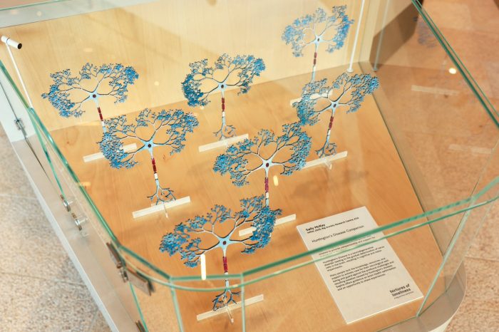 Installation view, Sally McKay, Huntington's Disease Companion. Photo by Katherine Griffiths.
