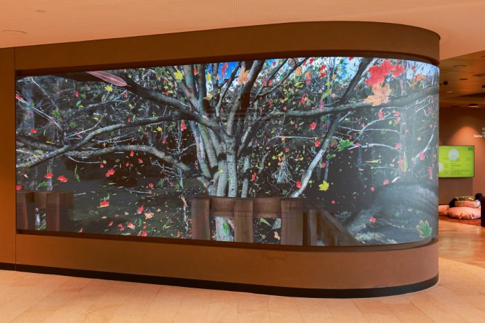 Installation view, Volker Kuchelmeister video, World Comes Alive. Photo by Katherine Griffiths.