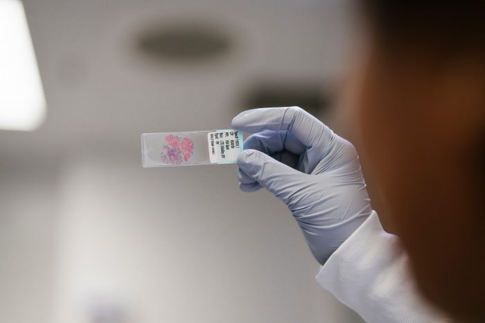 2024-12 Incidental photos of biospecimen samples in test tubes and slides