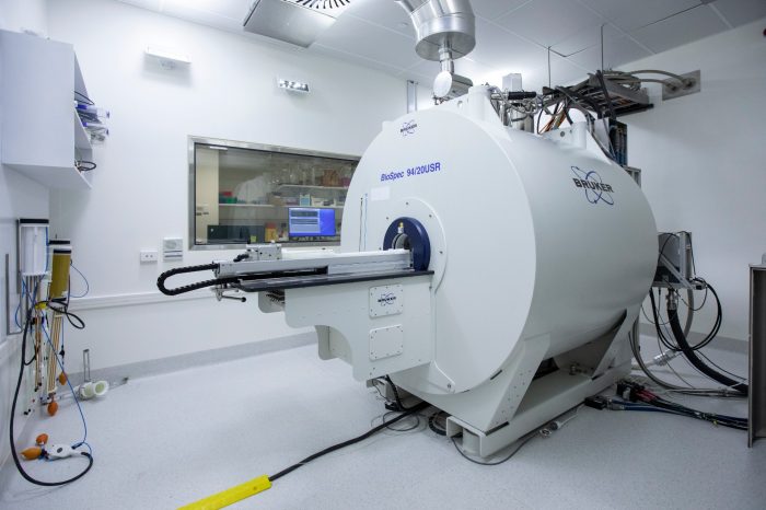 Bruker BioSpec Avance III 9420 Preclinical MRI in laboratory setting