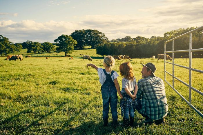 Number 8 Bio hero image of family looking out on green pastures with cows