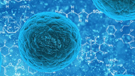 Microbiology & Microbiomes explores the importance of microbes in the environment and microbial contributions to health and disease.