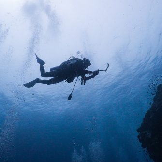 Person in black diving suit under water