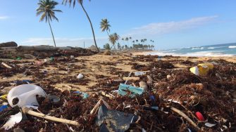 Polluted tropical beach in Dominican Republic