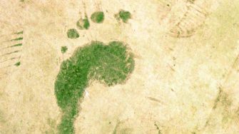 Green ecological footprint