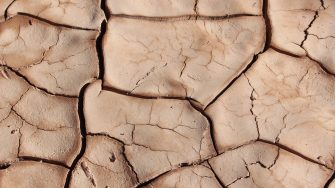 Close up of cracked dry earth