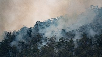 Smoke emerging from backburning operation